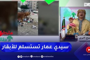 طالع هابط: شاهد بلدية سيدي عمار بعنابة إحتلتها الأبقار