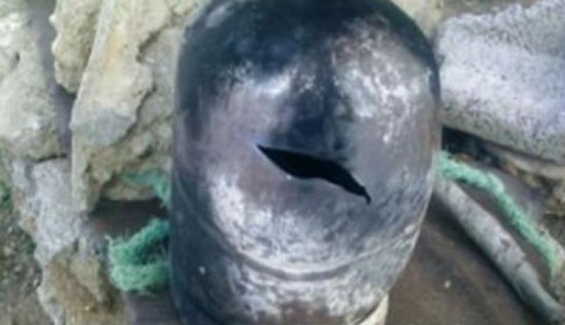 إصابة شخصين في إنفجارة قارورة غاز  بالبويرة 