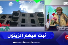 طالع هابط: “بنايات سامحين فيهم منذ سنين ببراقي حتى الشجر وناض فيهم”.. شاهد