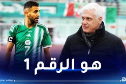 فيلود: “محرز أفضل لاعب في إفريقيا”