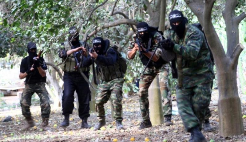 ألوية الناصر صلاح الدين تنفذ عملية إستشهادية شمال قطاع غزة