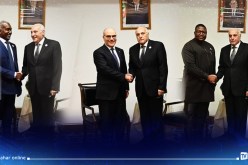 سيراليون ونيجيريا وتونس يشيدون بالتزام الجزائر الدائم تجاه عمقها الافريقي