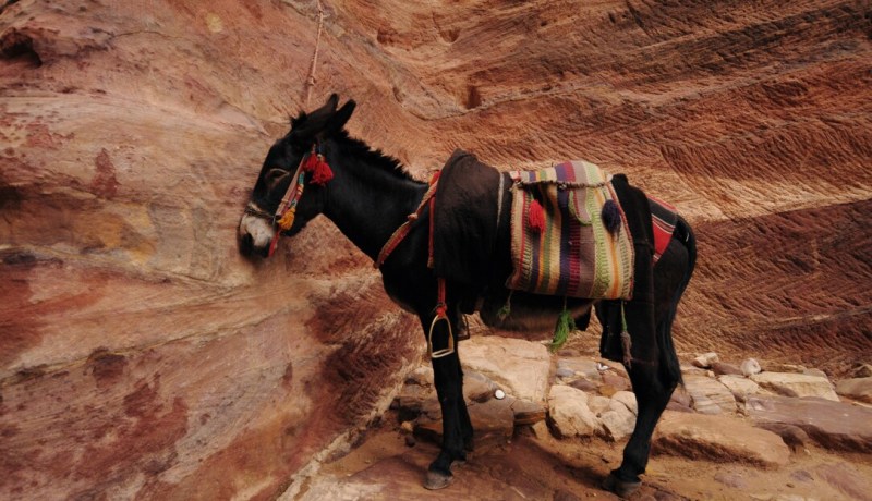 قصّة وعبرة.. لا أحد يمنعك فلا تَلُمْ الآخرين