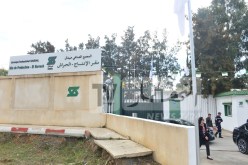 صيدال: نموذج إقتصادي جديد لتخفيض فاتورة إستيراد الأدوية