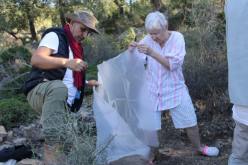 البعثة الجزائرية الايطالية تختتم أبحاثها الأثرية بالطارف