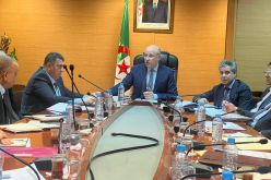 تجارة: مناقشة الإجراءات الضرورية لضمان التموين ووفرة المنتجات الواسعة الإستهلاك