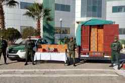 درك أم البواقي يحجز قرابة 23 ألف كيس من الشمة المقلدة ويوقف شخصًا