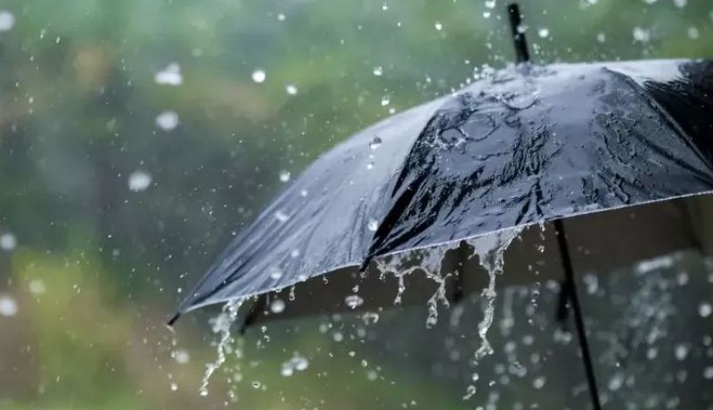 أمطار رعدية بداية من الثالثة زوالا على هذه الولايات