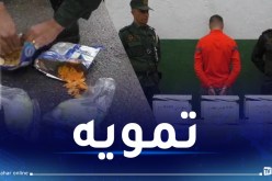غليزان: حجز كمية من المهلوسات والكوكايين داخل أكياس “شيبس”