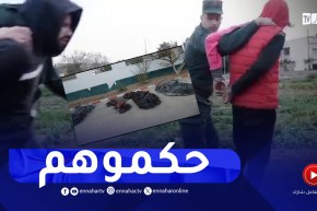 وهران / الإيقاع بشبكة اجـ.ـرامية مختصة في سرقة المحولات الكهربائية