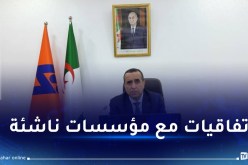 عجال: سونلغاز ستضع كل الإمكانيات للشباب للانطلاق في بحوث جد متطورة