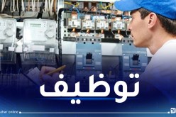 براتب 74000 دج.. المحافظة السامية للرقمنة تُوظف