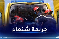 إبن يقتل والده بطعنات خنجر في باتنة