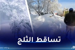 ثلوج وأمطار وبرد شديد على أغلب الولايات غدا الثلاثاء