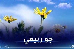 تصل لـ30°.. طقس مُشمس وحار غدا الجمعة