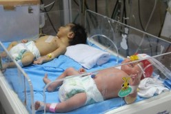 غزة.. 12 رضيعا بالحاضنات من دون ماء ولا غذاء!