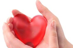 سؤال لحكيم… من أين يبدأ الحب..؟