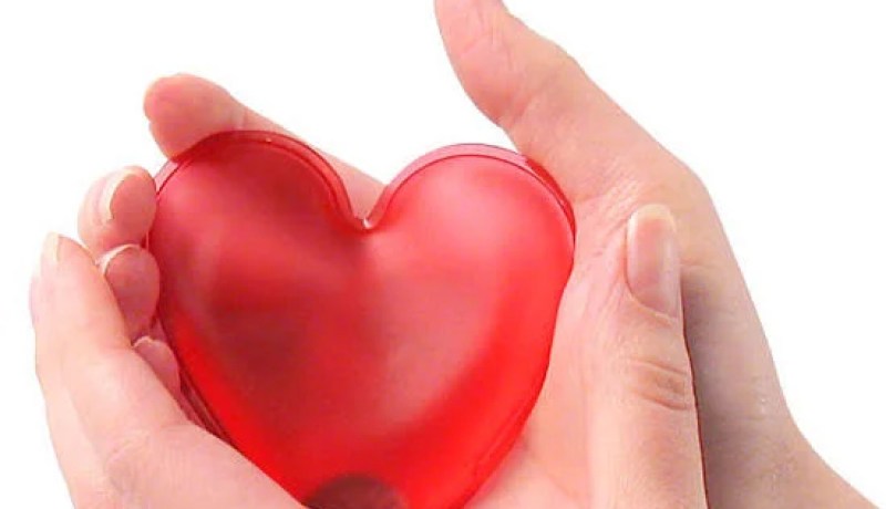 سؤال لحكيم… من أين يبدأ الحب..؟