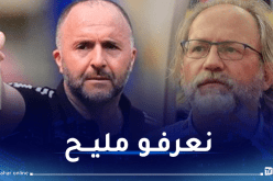 سانتفيت: “أعرف جيدا بلماضي وهذا ما يجب القيام به في حال مواجهة الخضر”