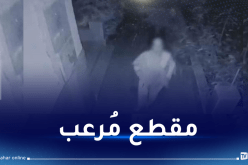 بشعر منكوش وقدم واحدة.. سيدة تُثير ضجة