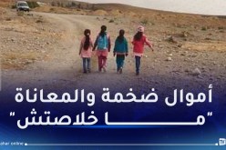 النقل المدرسي.. تلاميذ يركبون الجرارات والحيوانات للوصول إلى المدراس