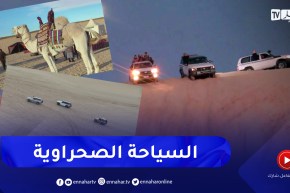 الوادي: سفاري الصحراء .. فكرة لشباب يروجون لشباب يروجون للسياحة الصحراوية