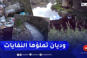 في حالة كارثية .. وديان تتحول إلى مصب لمياه الصرف الصحي ومكب للنفايات