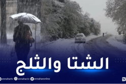 طقس بارد.. ثلوج وأمطار غزيرة غدا الخميس