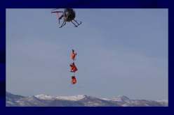 بالفيديو.. نقل غزلان بطائرات الهليكوبتر لإجراء فحص صحي