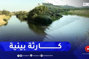 العاصمة: بحيرة الرغاية .. مشكلة مستمرة وخطر متزايد