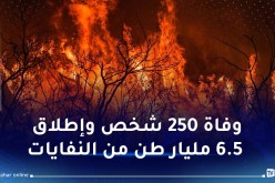 أتت على 400 مليون هكتار.. حرائق غابات دموية ومدمرة شهدها العالم سنة 2023