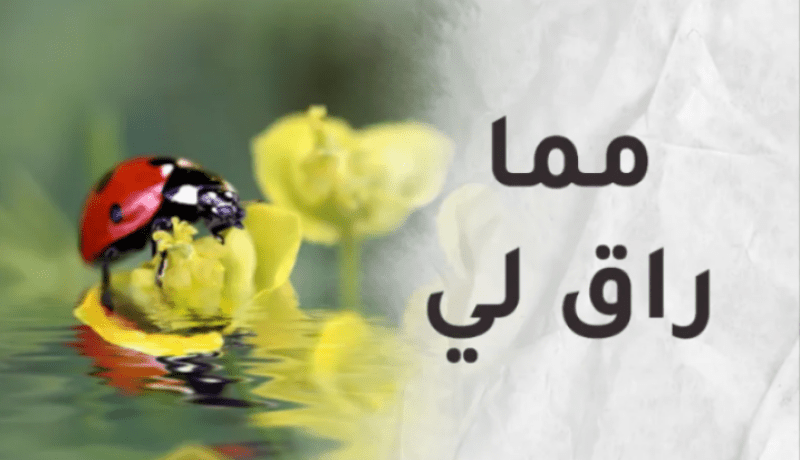 مما راق لي
