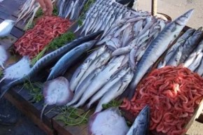 فتح قرابة 400 نقطة بيع مباشر لمنتجات الصيد البحري عبر الوطن