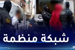 هرّبوا حراقة جزائريين ويروجون “الأمفيتامينات”.. توقيف 7 أشخاص في اسبانيا