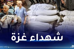 كارثة إنسانية.. 21 ألف شهيد جراء القصف الصهيوني على غزة