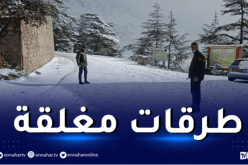الثلوج تغلق هذه الطرقات