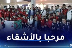منتخب فلسطين يصل إلى الجزائر