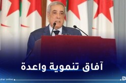 مدينة منجمية متكاملة في الجزائر وهذا موعد إقامة أول منطقة تجارية حرة