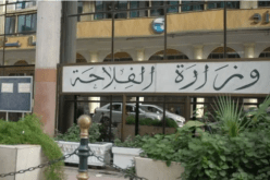 إنطلاق المؤتمر الوطني حول عصرنة القطاع الفلاحي