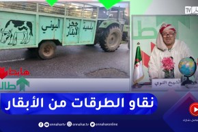 طالع هابط: السلطات المحلية تضع حدا للأبقار التي تتجول ليلا نهار في شوارع سيدي عمار بعنابة