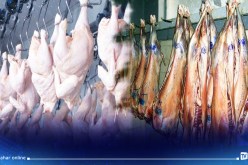 الجريدة الرسمية: إلغاء الرسم الإضافي المؤقت الوقائي المطبق على لحوم الدواجن والأغنام المستوردة