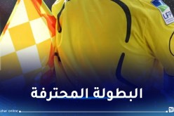 الكشف عن حكام الجولة الـ 14