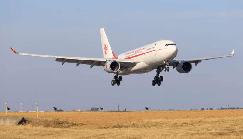 خط بحري ورحلات جوية من كاراكاس إلى الكاريبي وأمريكا اللاتينية للجزائريين