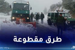 الثلوج تغلق 5 طرق عبر ولايتي تيزي وزو والبويرة