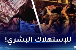 حجز 7 قناطير من لحوم البقر الفاسدة بالبيض