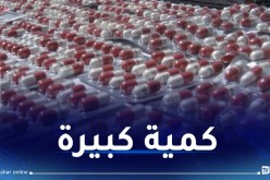 وهران.. ضبط أزيد من 300 ألف كبسولة “بريغابالين” داخل شاحنة تبريد