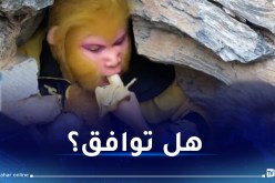 تعيش بكهف وتتناول الموز.. وظيفة غريبة مقابل مبلغ ضخم!