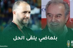 فرقاني: “على بلماضي اختيار أفضل العناصر وأكثرها جاهزية أمام بوركينا فاسو”