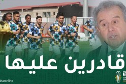 فرقاني: “في حال بلوغنا نصف النهائي يمكننا التتويج بكأس أمم إفريقيا”