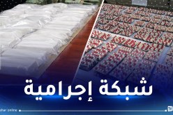الإطاحة بشبكة تستورد المخدرات وحجز 31 كلغ كوكايين و52 ألف قرص مهلوس
